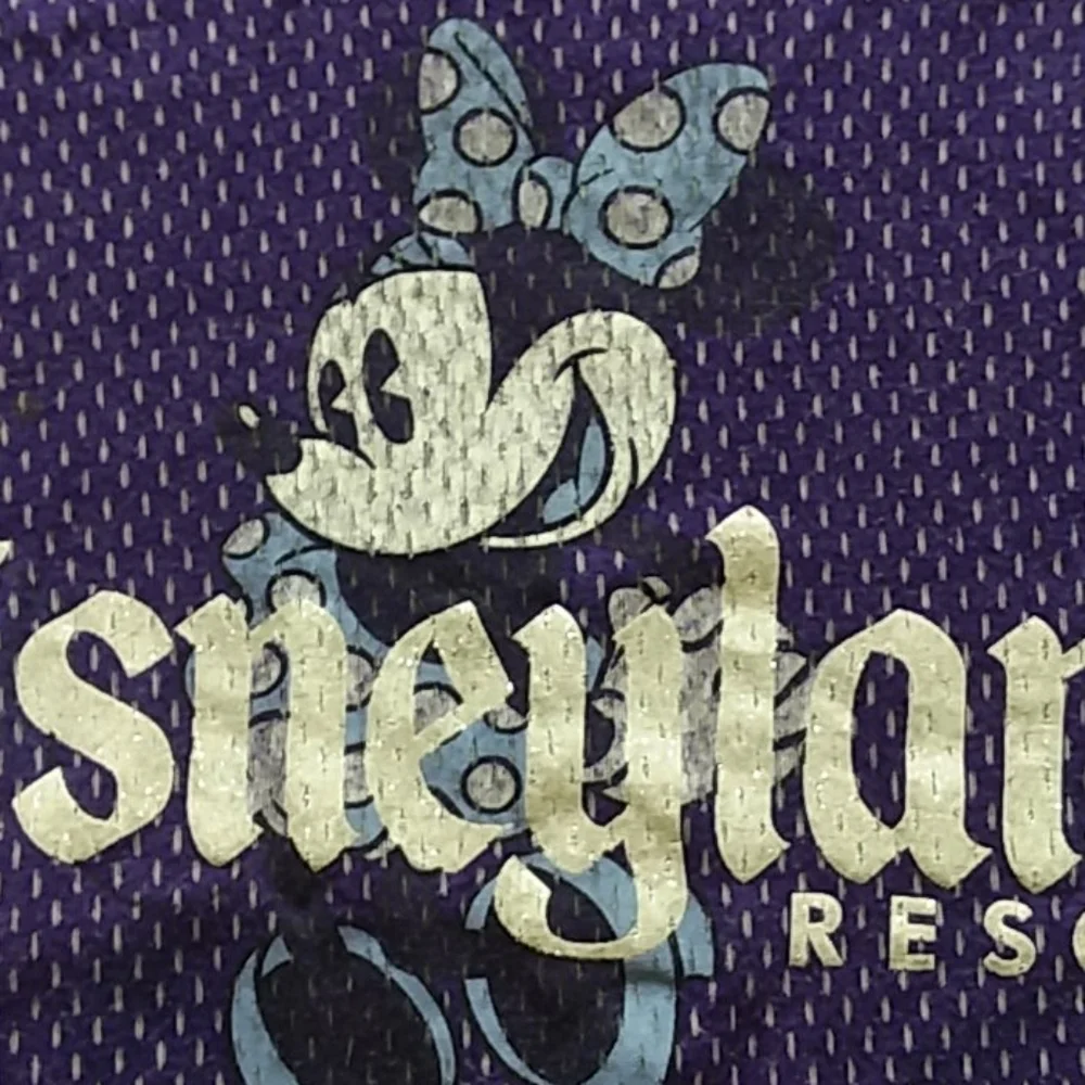 Disneyland Minnie Mouse extra large purple tank
